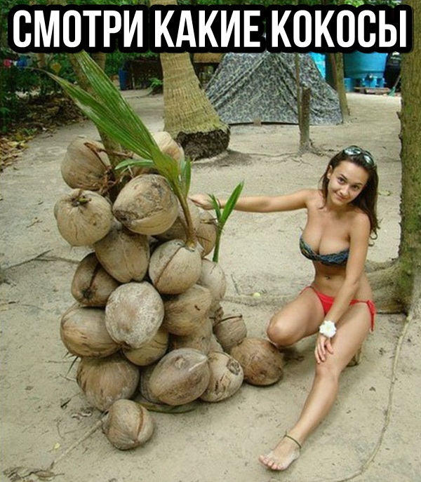 Немного картинок в эту субботу