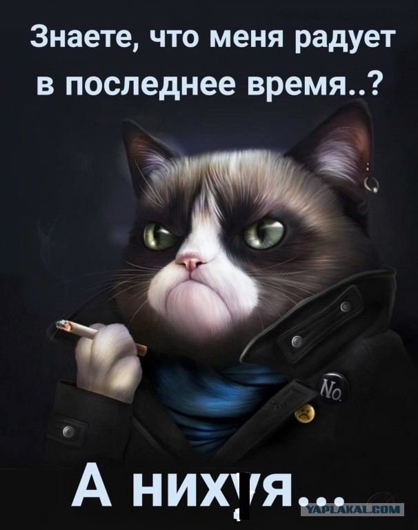 Картинки юморные и тексты