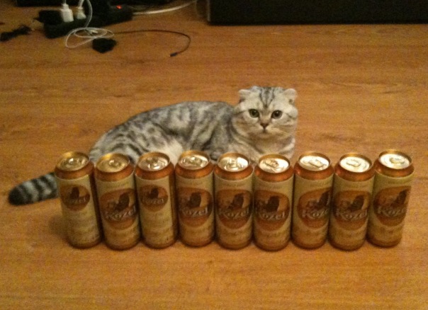 Котовторник 25.01.2011