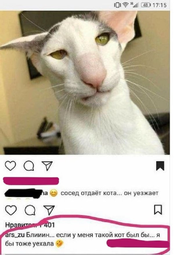 Блюдо дня