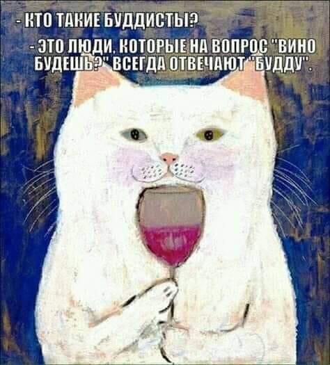 13274892.jpg