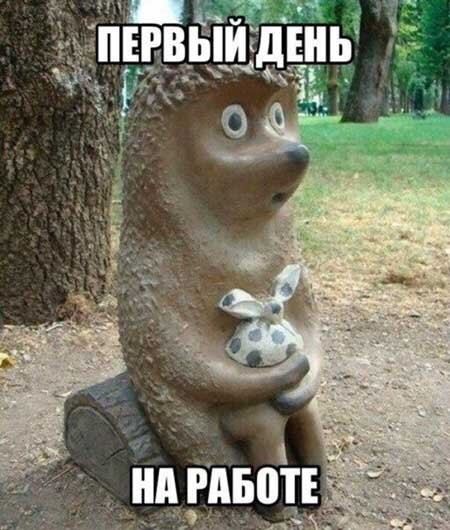 Российское образование сочли бесполезным для карьеры
