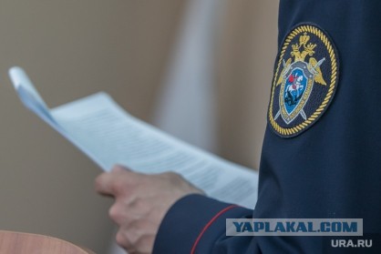 Пойман убийца 13 летней Елизаветы Черновой.