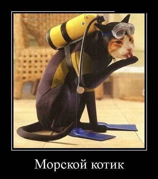 Чуток картинок 14.03.20