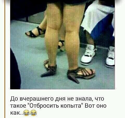 Юмор. Острый, как сибирский валенок