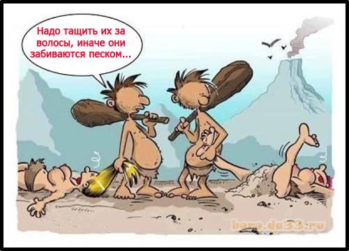 Спасала курица акулу