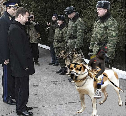 Черный всадник