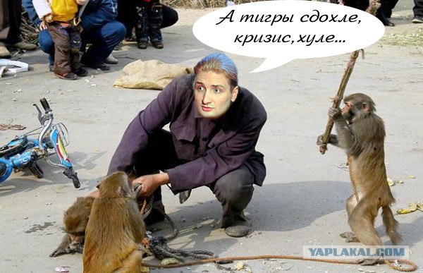 Неуловимый мститель