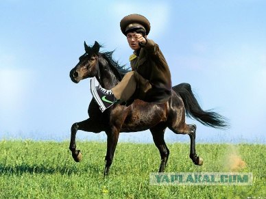 Вот вам!