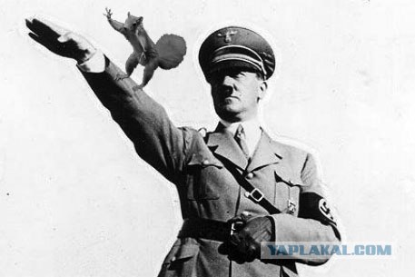 Фотожаба: Белка как бы говорит нам...