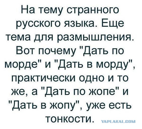 Кретинизмы из сети 12.01.21