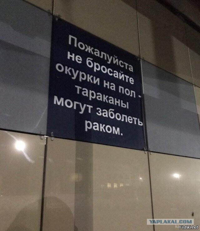 Картинки и мемы для настроения 004