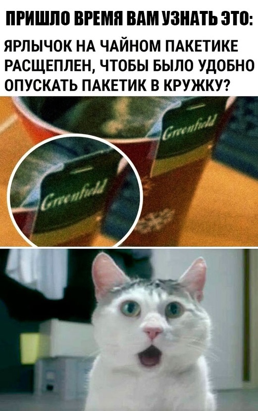 Кретинизмы из ЛМ и ЛЩ 16.03.21