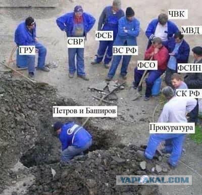 Лучшие шутки про приключения Петрова и Боширова