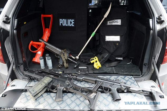 Россияне поддержали идею привлекать к работе заключенных вместо мигрантов