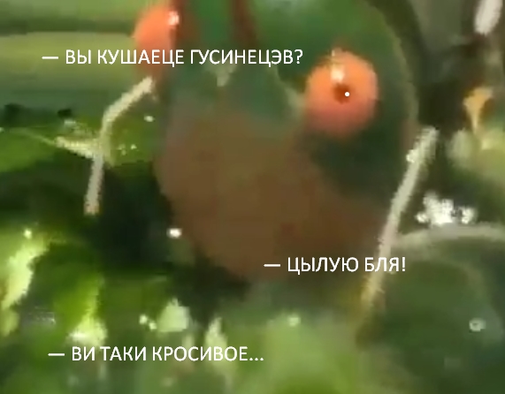Мммм вкусняжка