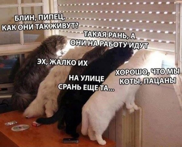 Прикольные и просто красивые картинки 27.04.2022