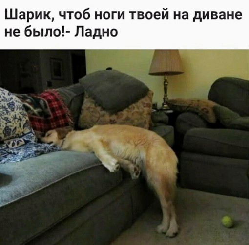 Картинки и мемы для настроения - 15