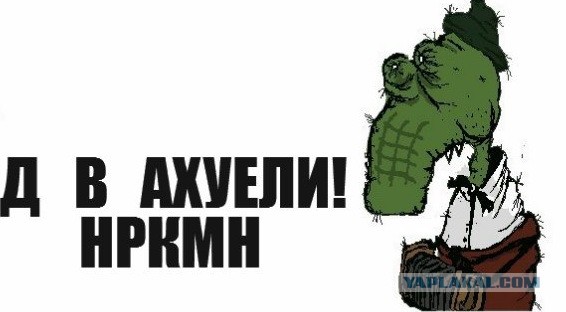 Я вот ни хуа не понял