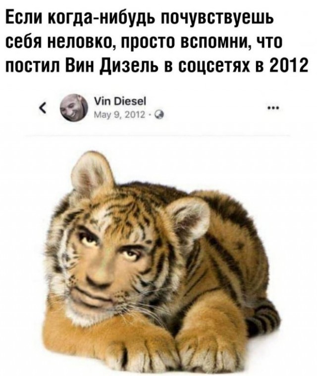 Картинки и мемы, всяко разно - 181
