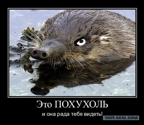 Выхухоль: Сердце пловца, душа праотца!