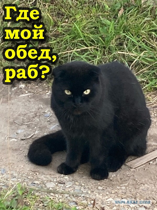 Красотень тут приперлась