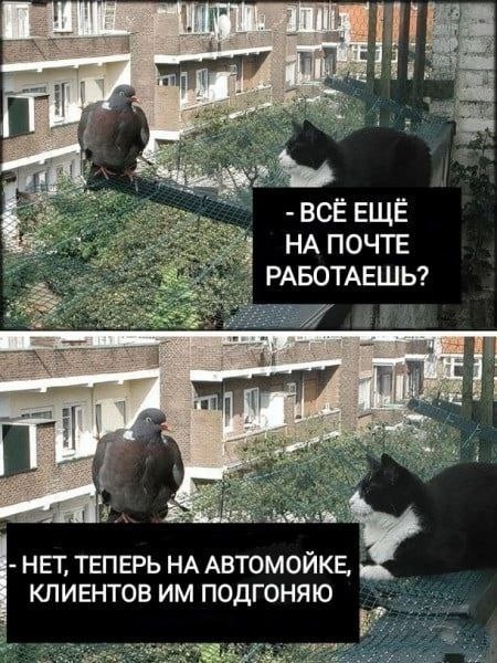 Лето. Пятница. Картинко