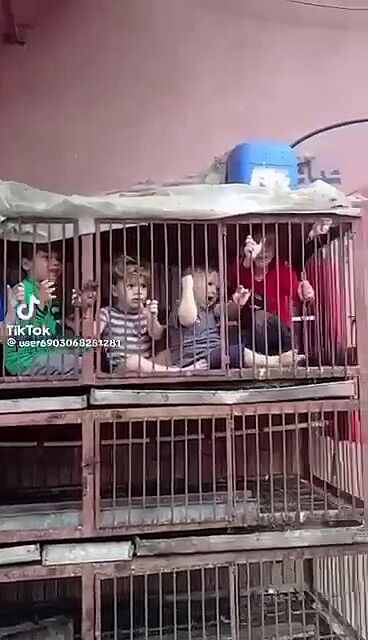 Израильские военные взяли под контроль все граничащие с сектором Газа населенные пункты