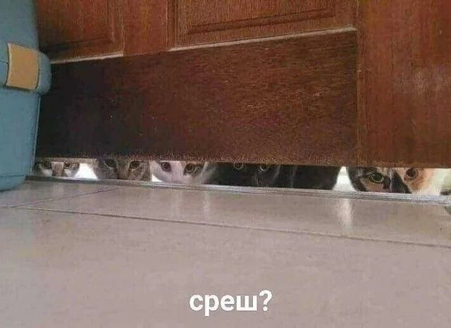 Так себе картинки 17.10.23