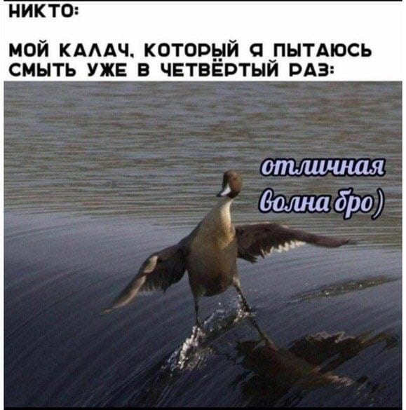 Никакие картинки