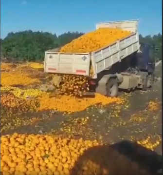 Отличное сравнение