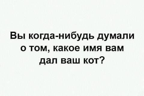 Нуштош 16.08.2024