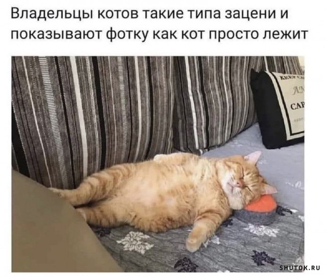 Так себе картинки 16.10.24