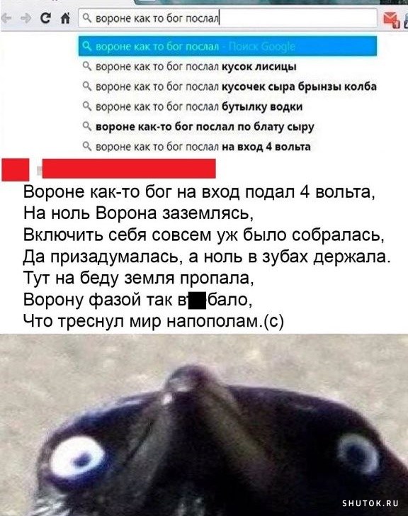 Веселые картинки на пятницу (15.11)
