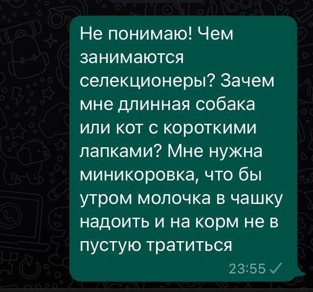 Подборка веселых картинок