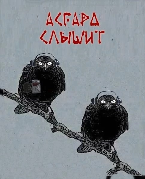 Весёлый полтишок 23.01.25