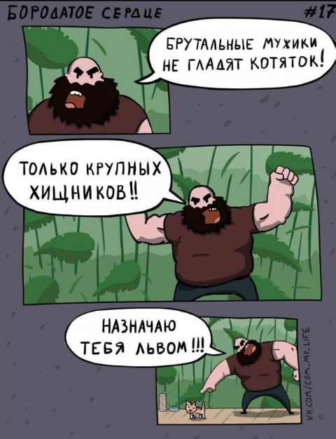 Так себе картинки 15.02.25
