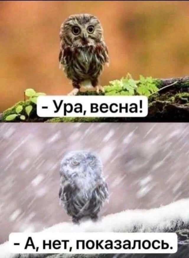 Картинки о том, о сём...