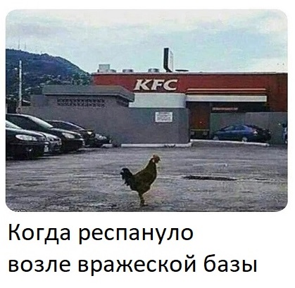 Синий Винстон