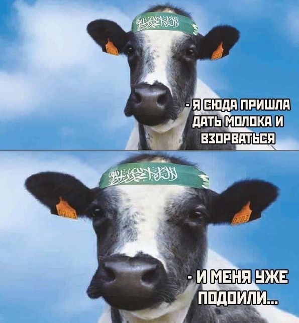 Слава Богу - я атеист 24