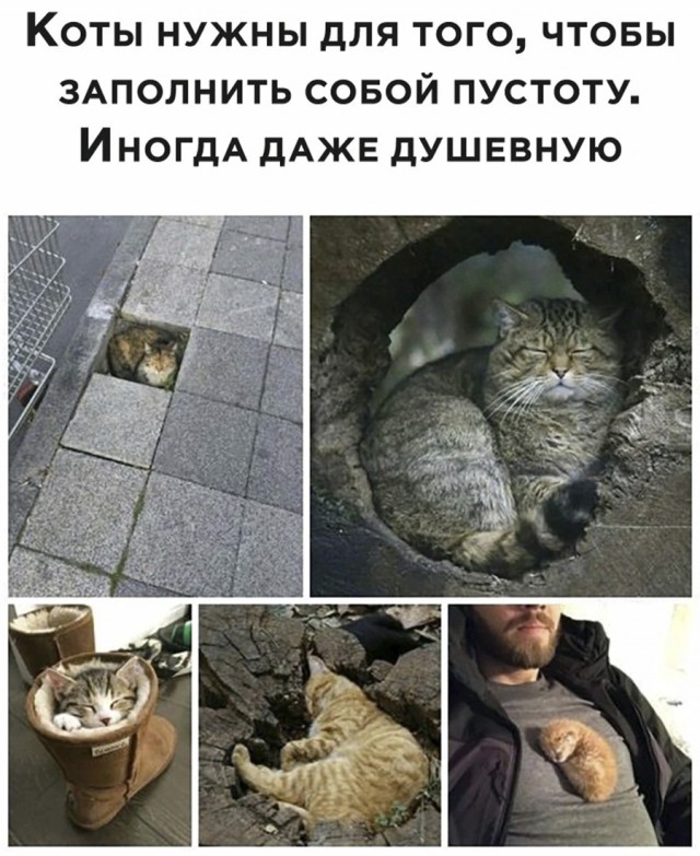 Стало интересно - а чего хотят мужчины 45+