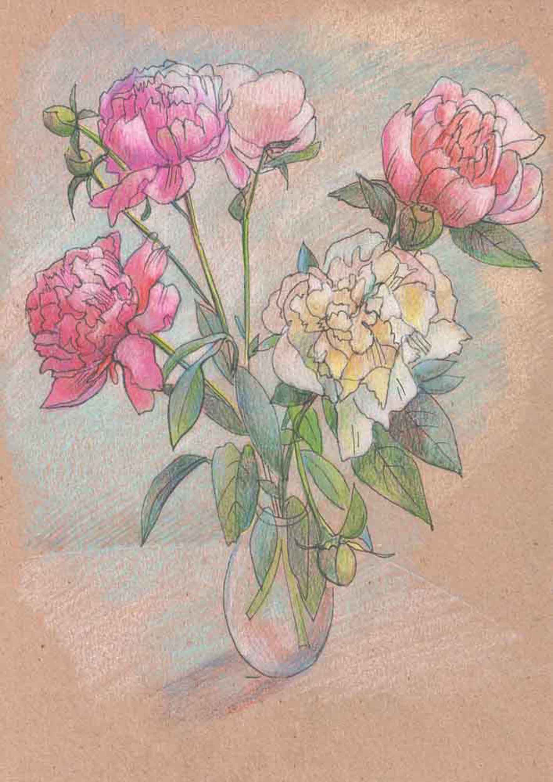 Мои рисунки