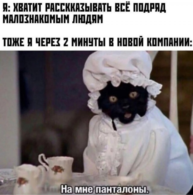 К котовторнику: подборка картинок-баянов с котиками и про котиков. Выпуск 32.