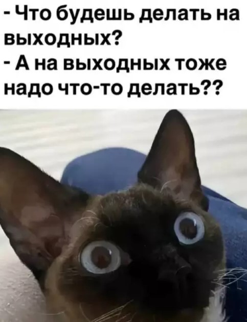 Котямбосы