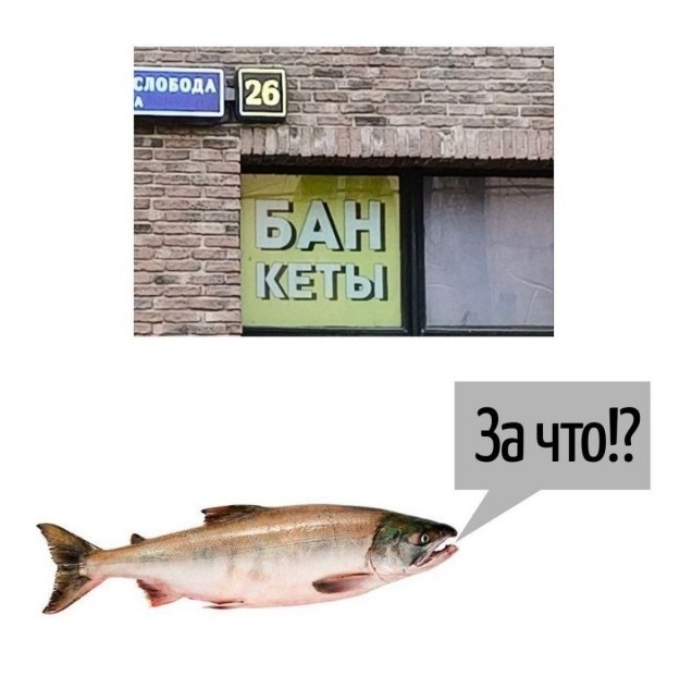 Веселые картинки в пятницу (24.04)