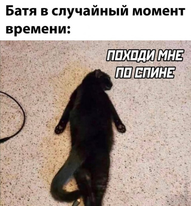 К котовторнику: подборка картинок-баянов с котиками и про котиков. Выпуск 40.