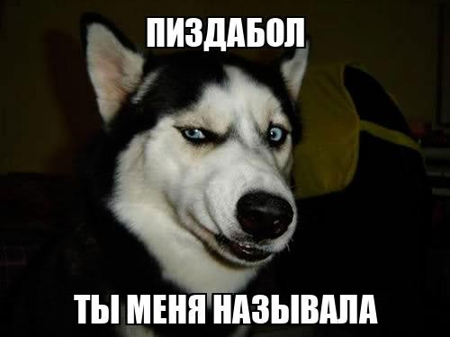 "Я сам не смог заправиться... Везде заправляют в канистры"