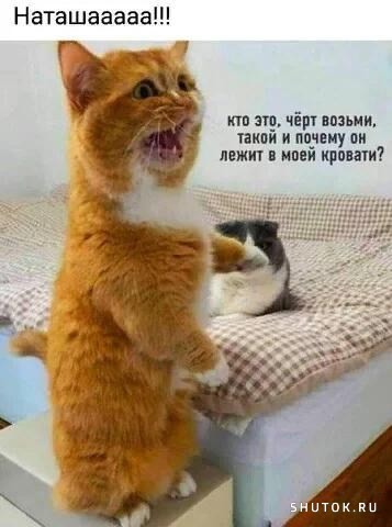 Найди себе уже мужика, Наташа!