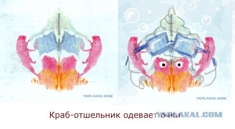 Правильные ответы на тест Роршаха