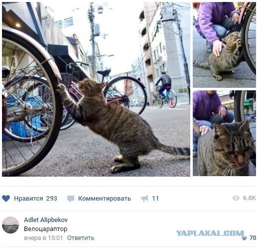 Узреть своё невежество